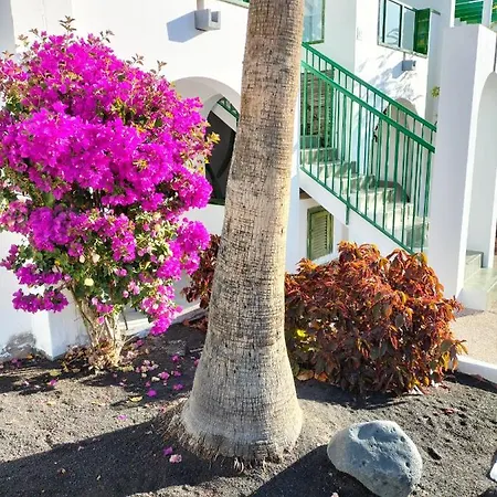 Casa De Guacimeta Apartment Puerto del Carmen (Lanzarote)