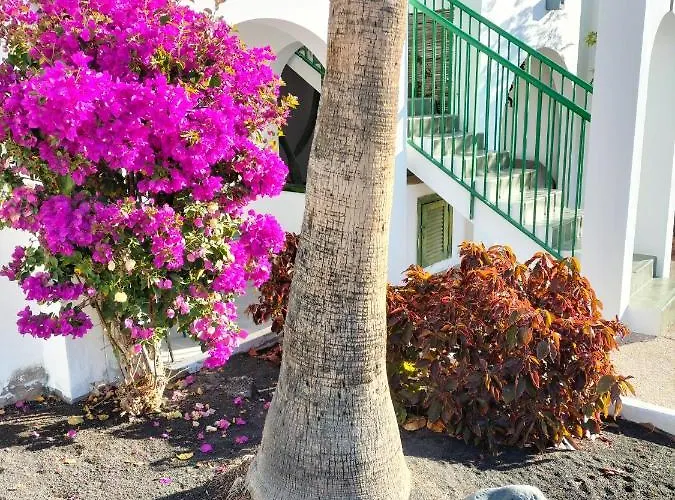 Casa De Guacimeta Apartment Puerto del Carmen (Lanzarote)